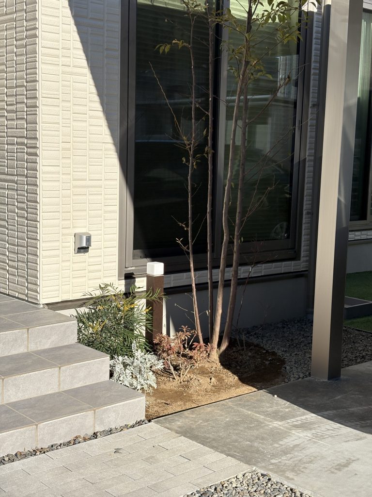 和室から見える坪庭　植栽　坪庭風　